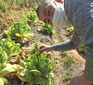 野菜こだわりの仕入れ